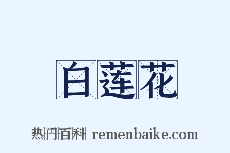 白莲花是什么意思的图片